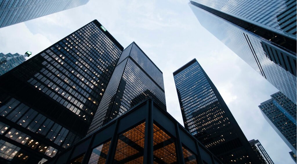 Blog 6